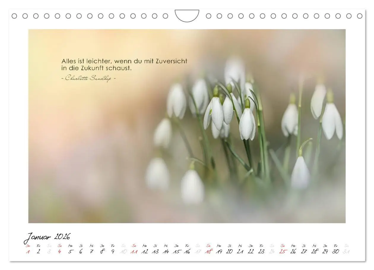 Bild: 9783516017625 | Mit guten Gedanken durch das Jahr (Wandkalender 2026 DIN A4 quer),...