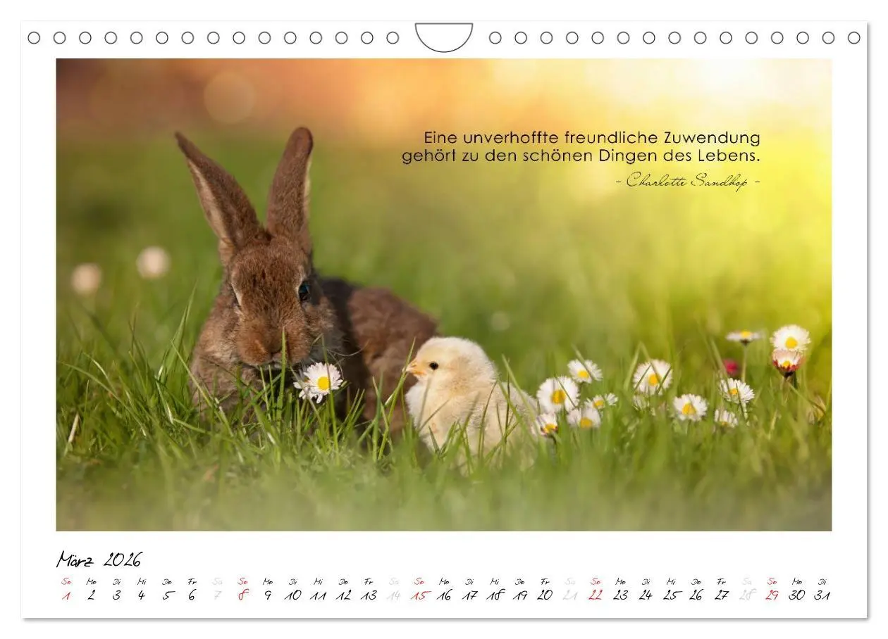 Bild: 9783516017625 | Mit guten Gedanken durch das Jahr (Wandkalender 2026 DIN A4 quer),...