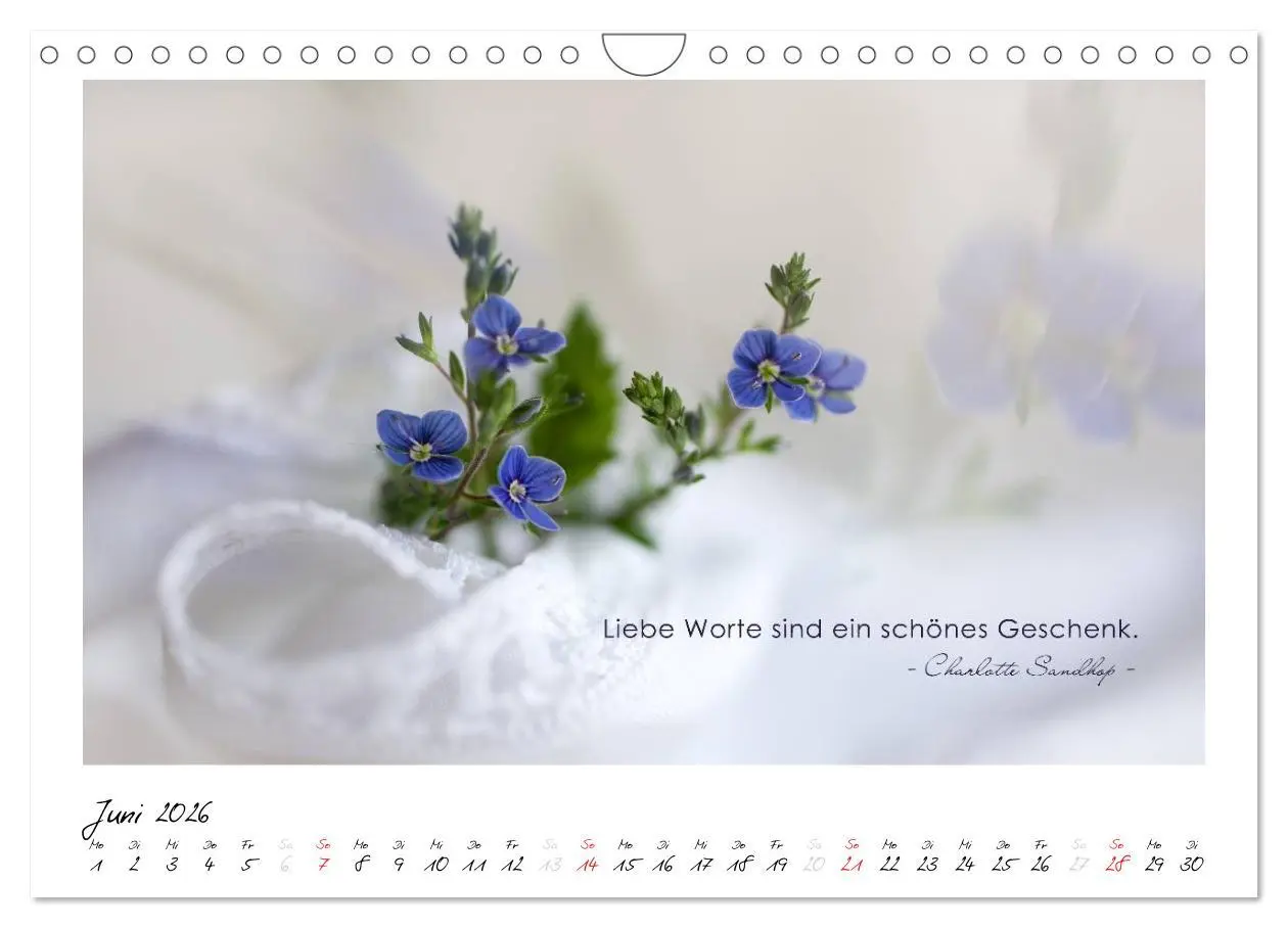 Bild: 9783516017625 | Mit guten Gedanken durch das Jahr (Wandkalender 2026 DIN A4 quer),...