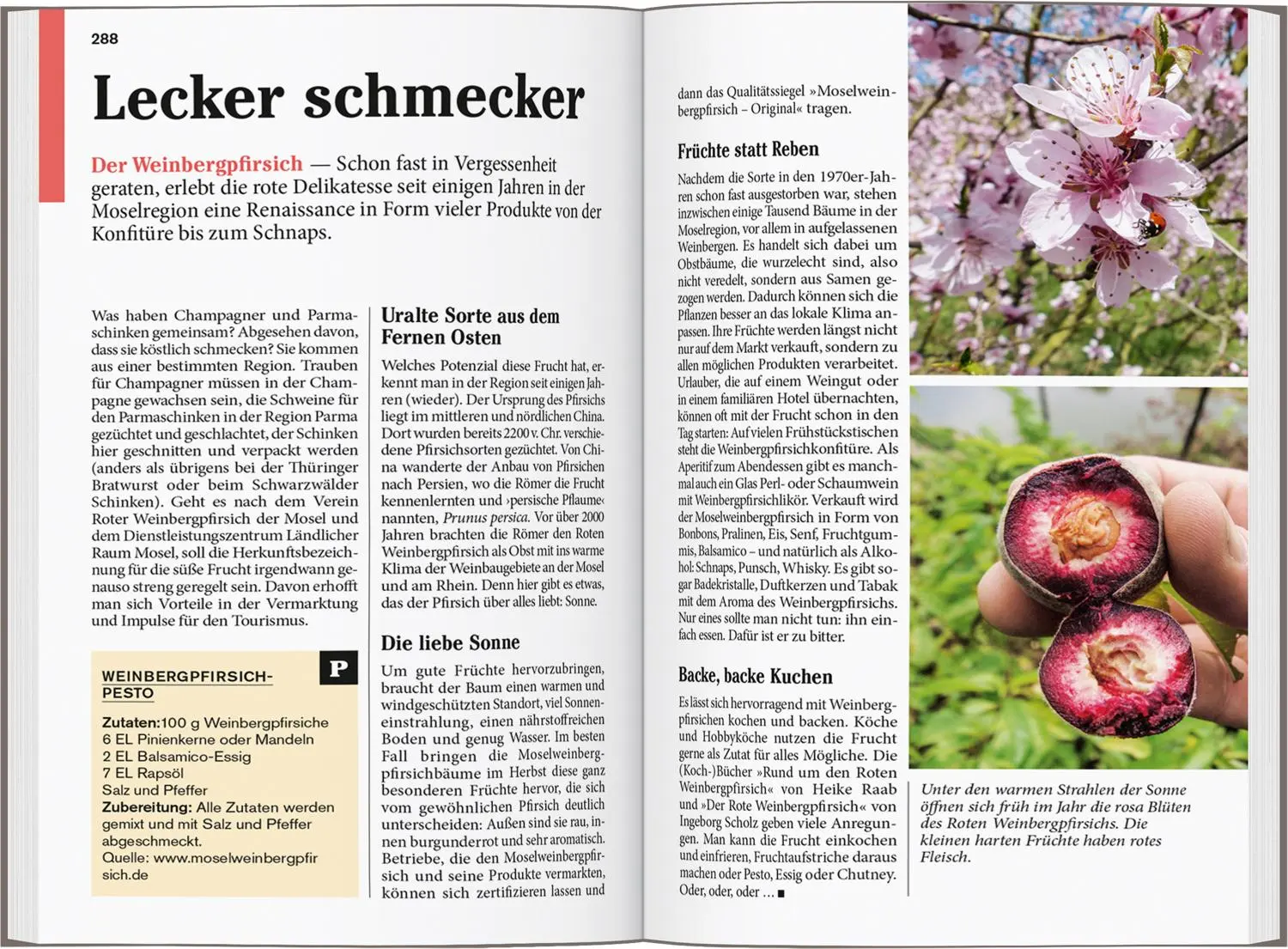 Bild: 9783616007625 | DUMONT Reise-Taschenbuch Reiseführer Mosel | Nicole Sperk | Buch