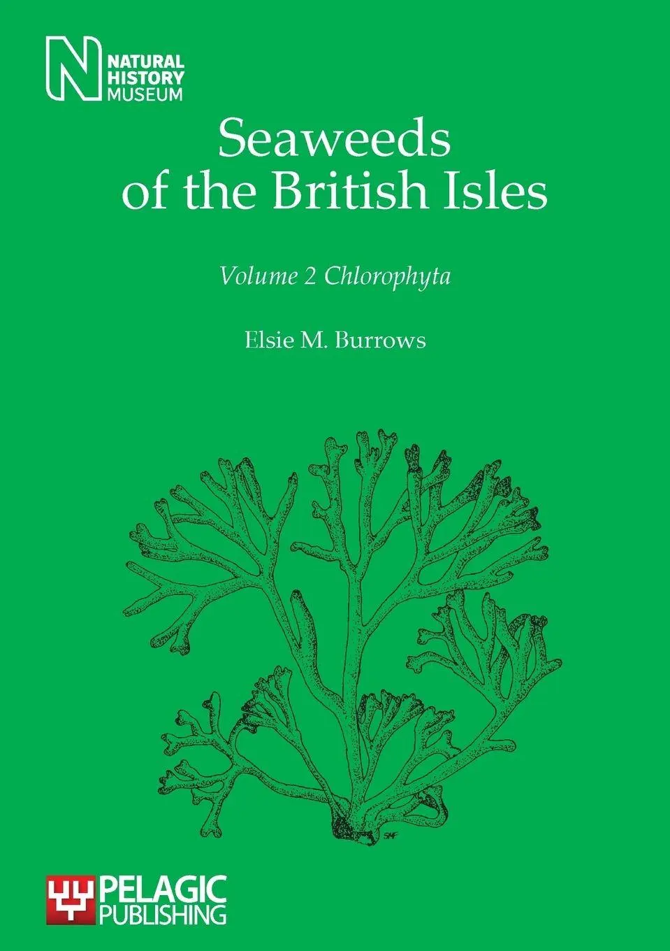 Cover: 9781907807725 | Seaweeds of the British Isles | Chlorophyta | Elsie M Burrows | Buch