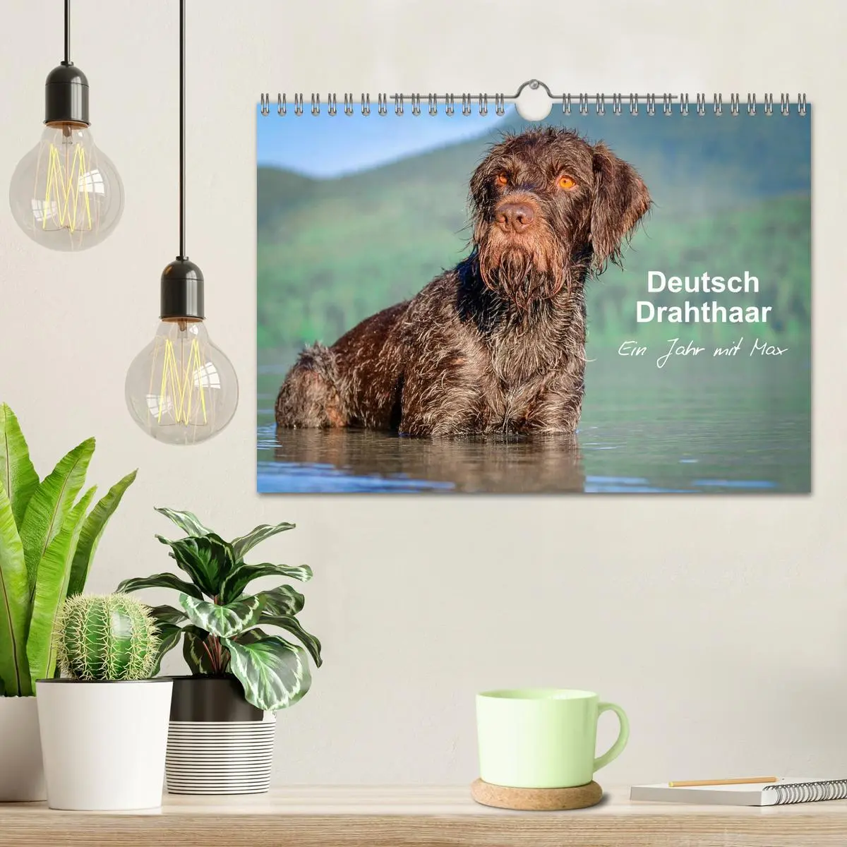 Bild: 9783457777725 | Deutsch Drahthaar - Ein Jahr mit Max (Wandkalender 2026 DIN A4...