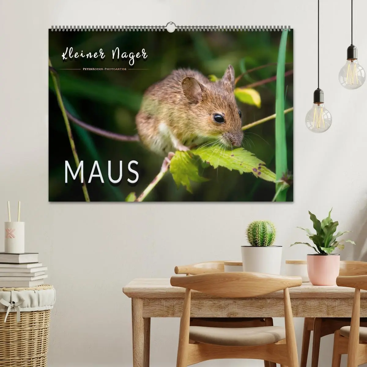Bild: 9783457837825 | Kleiner Nager - Maus (Wandkalender 2026 DIN A2 quer), CALVENDO...