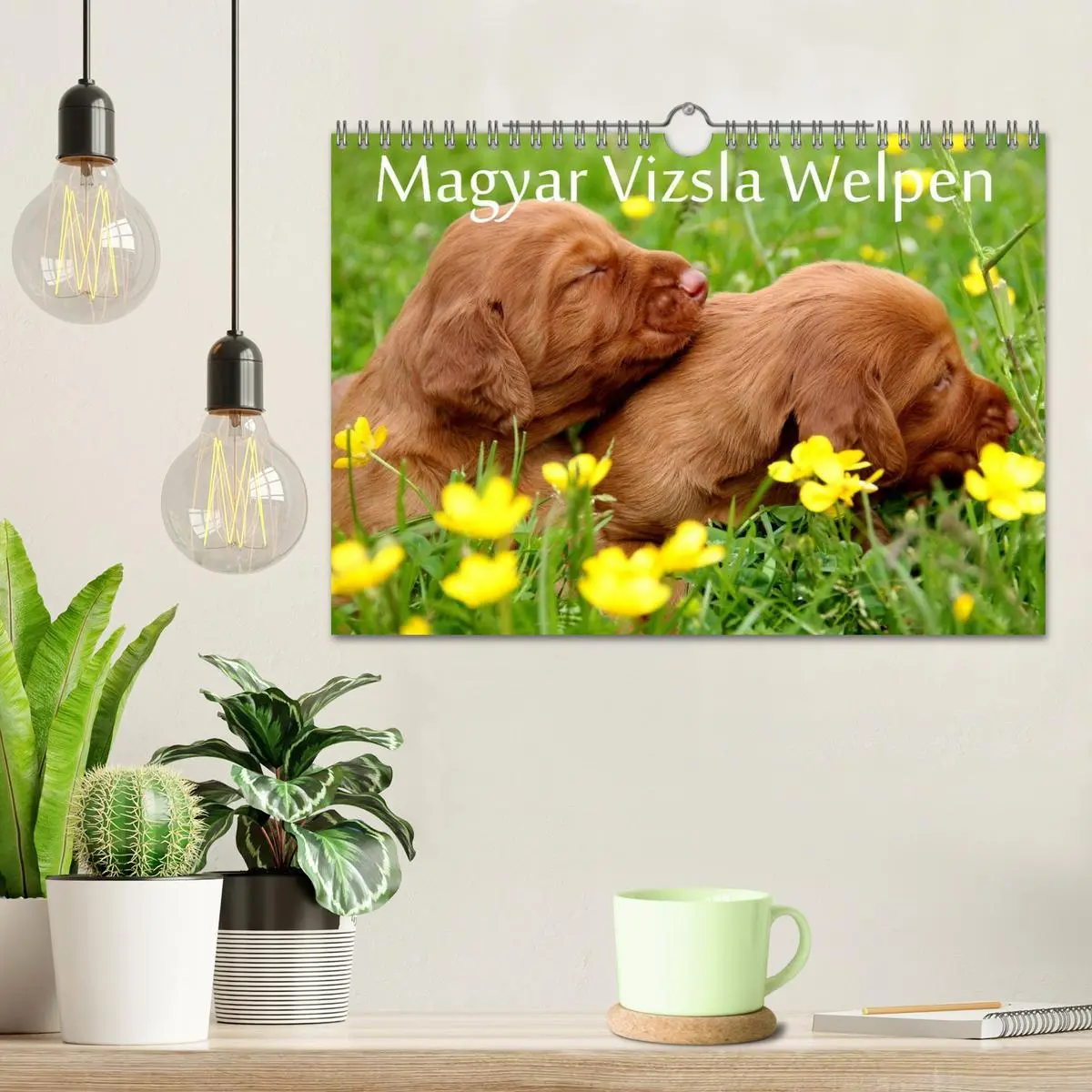 Bild: 9783516167825 | Magyar Vizsla Welpen (Wandkalender 2026 DIN A4 quer), CALVENDO...