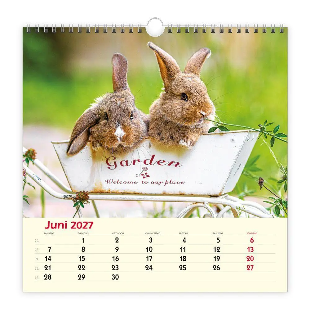 Bild: 9783988027825 | TRÖTSCH - Wandkalender Freunde 2027 | Wandkalender | KG | Kalender