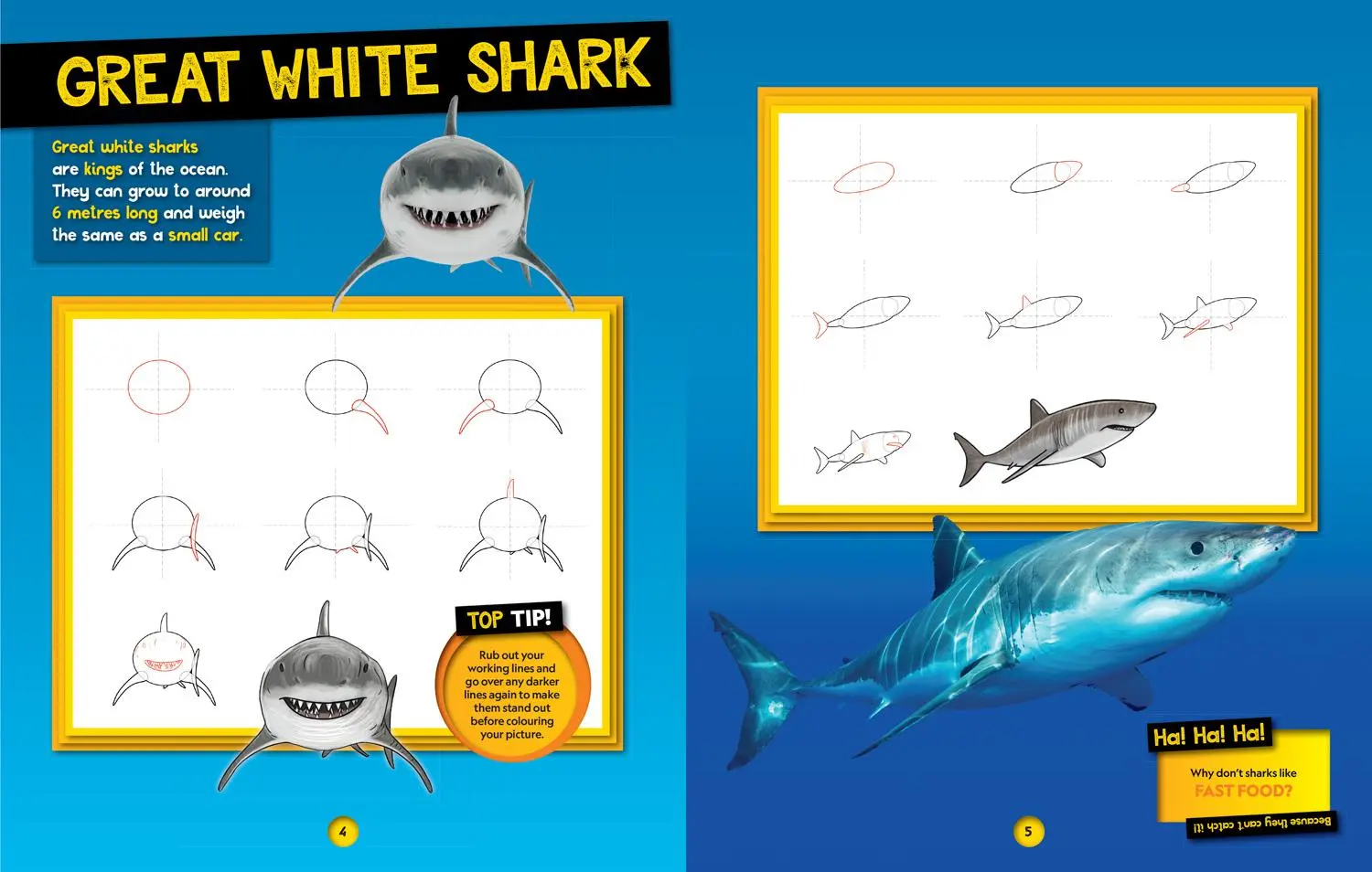 Bild: 9780008727925 | How to Draw Ocean Animals | National Geographic Kids | Taschenbuch