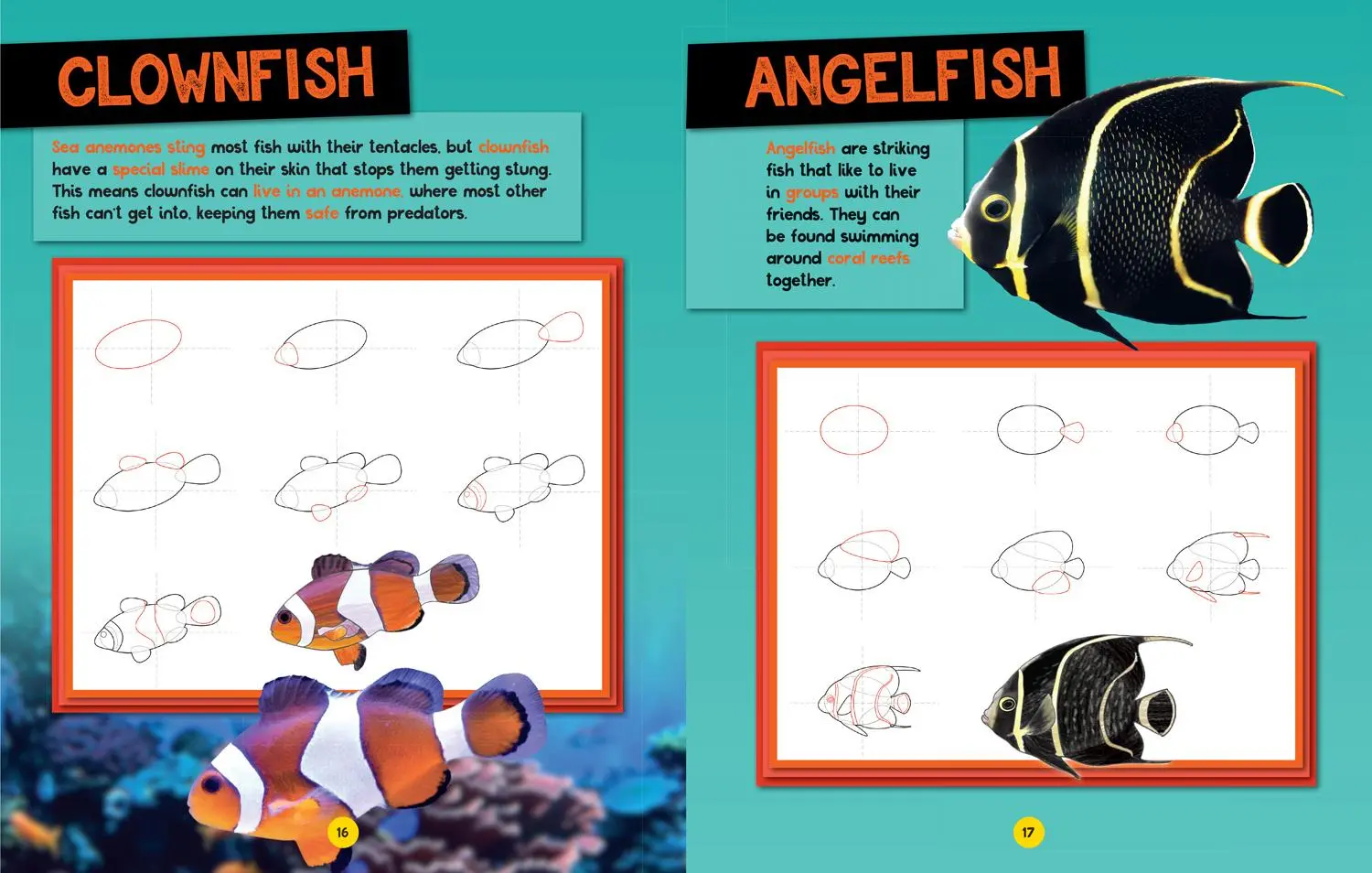 Bild: 9780008727925 | How to Draw Ocean Animals | National Geographic Kids | Taschenbuch
