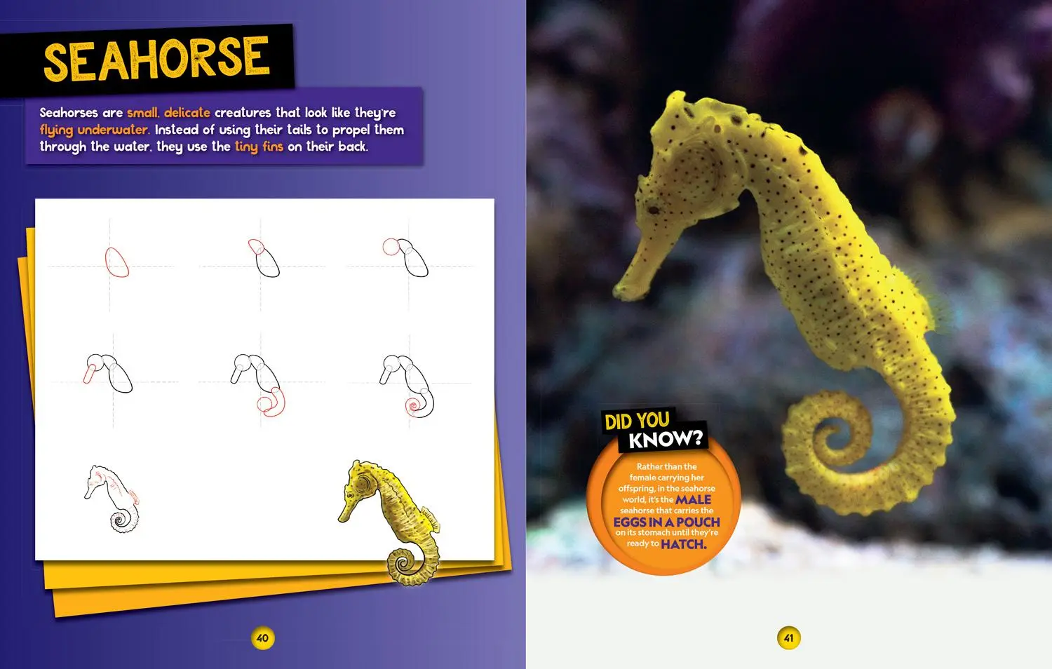Bild: 9780008727925 | How to Draw Ocean Animals | National Geographic Kids | Taschenbuch