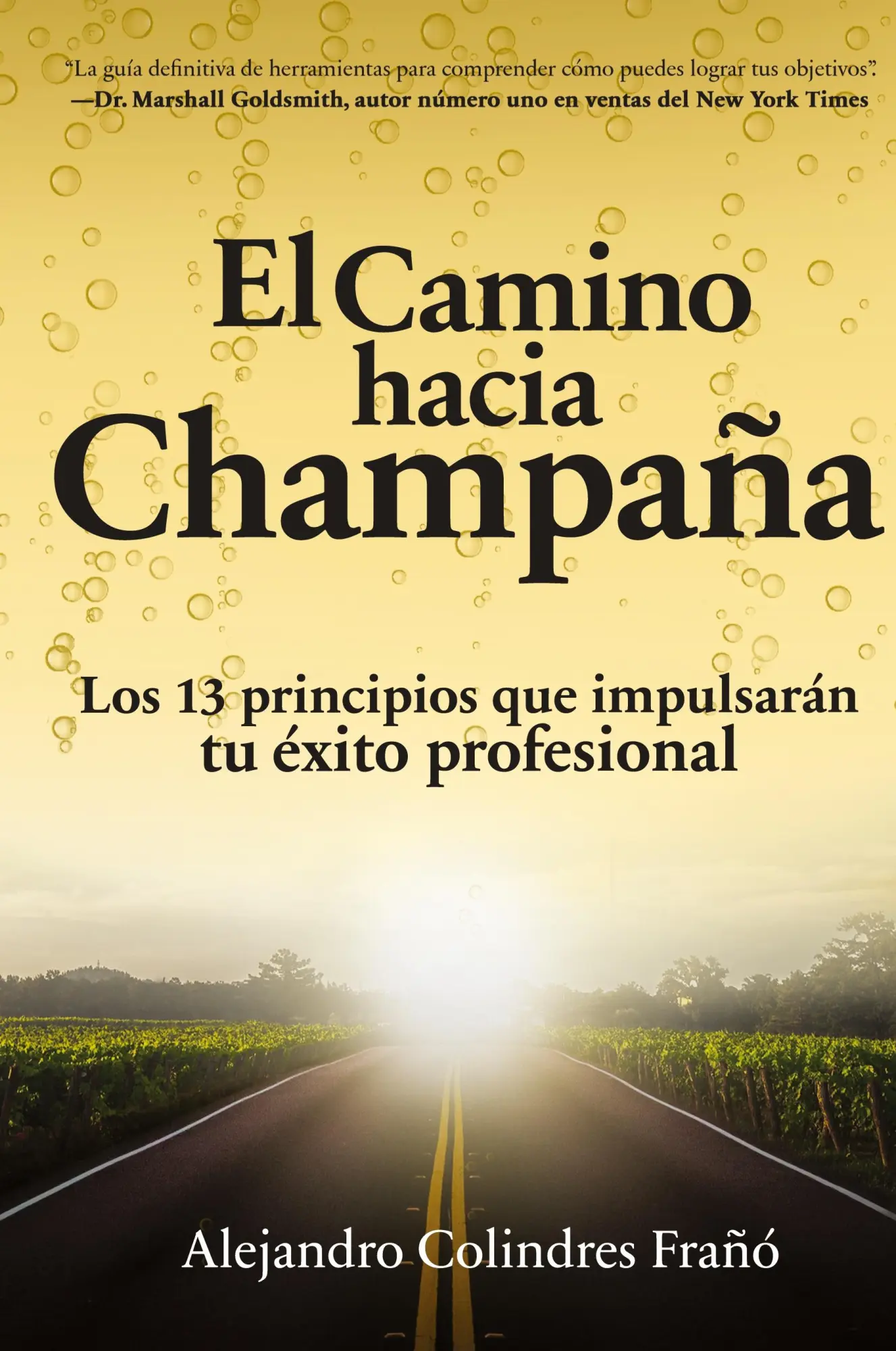 Cover: 9798989807925 | El camino hacia Champaña | Alejandro Colindres Frañó | Taschenbuch