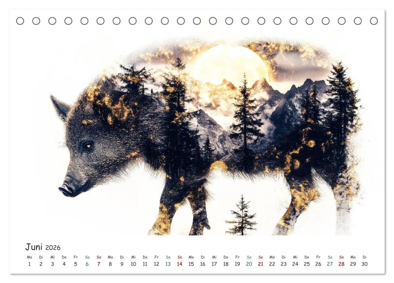 Bild: 9783457648025 | Wächter des Zauberwaldes (Tischkalender 2026 DIN A5 quer), CALVENDO...
