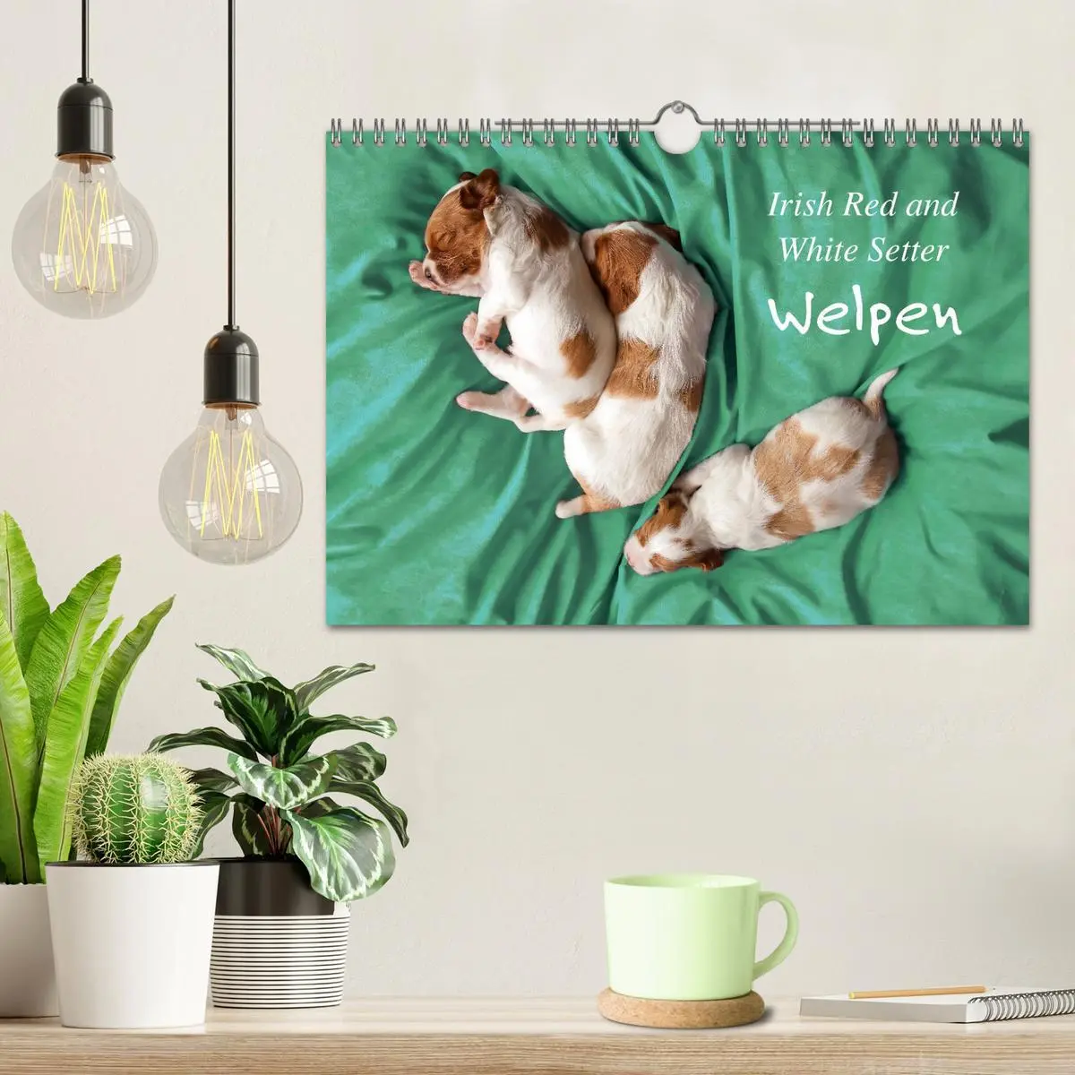 Bild: 9783457718025 | Irish Red and White Setter Welpen (Wandkalender 2026 DIN A4 quer),...