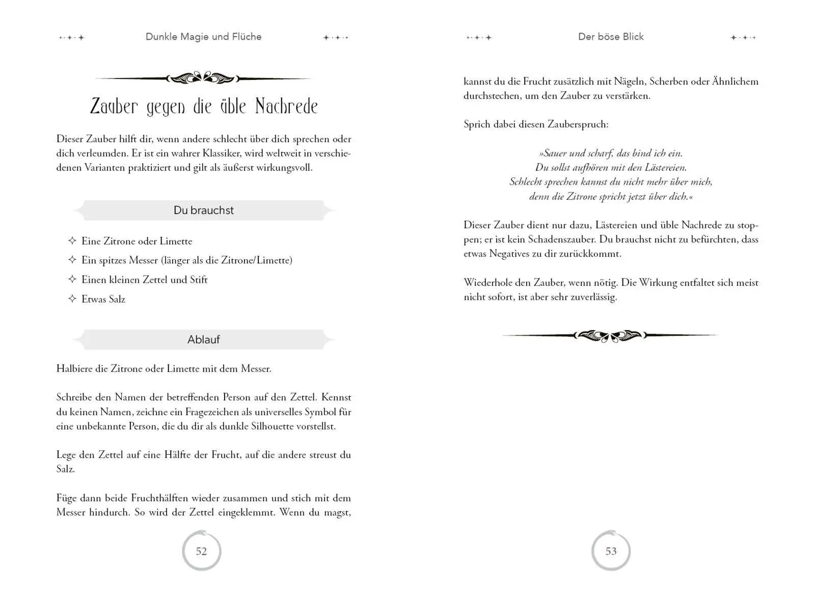 Bild: 9783747408025 | Die geheime Magie von Licht und Schatten | Christian Schmidt | Buch