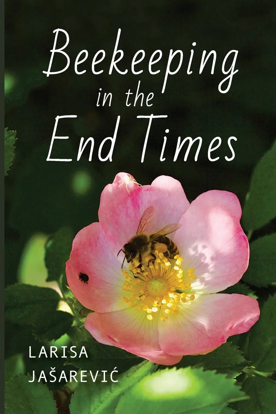 Cover: 9780253068125 | Beekeeping in the End Times | Larisa Jaarevic | Taschenbuch | 2024