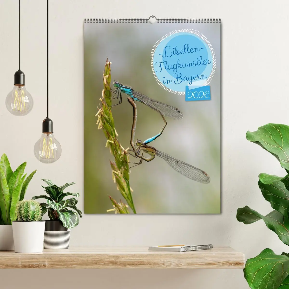 Bild: 9783457258125 | Libellen - Flugkünstler in Bayern (Wandkalender 2026 DIN A2 hoch),...
