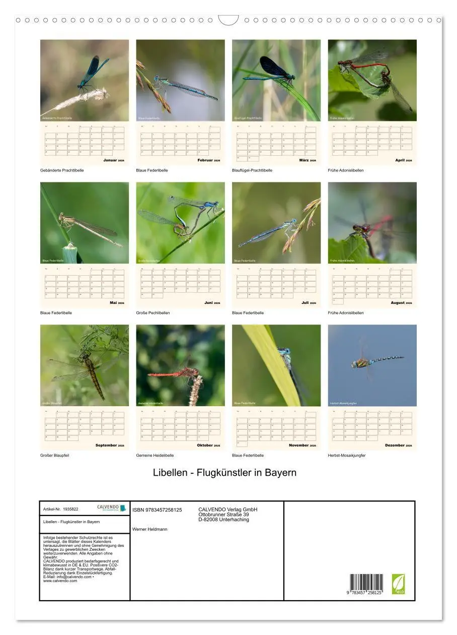 Bild: 9783457258125 | Libellen - Flugkünstler in Bayern (Wandkalender 2026 DIN A2 hoch),...