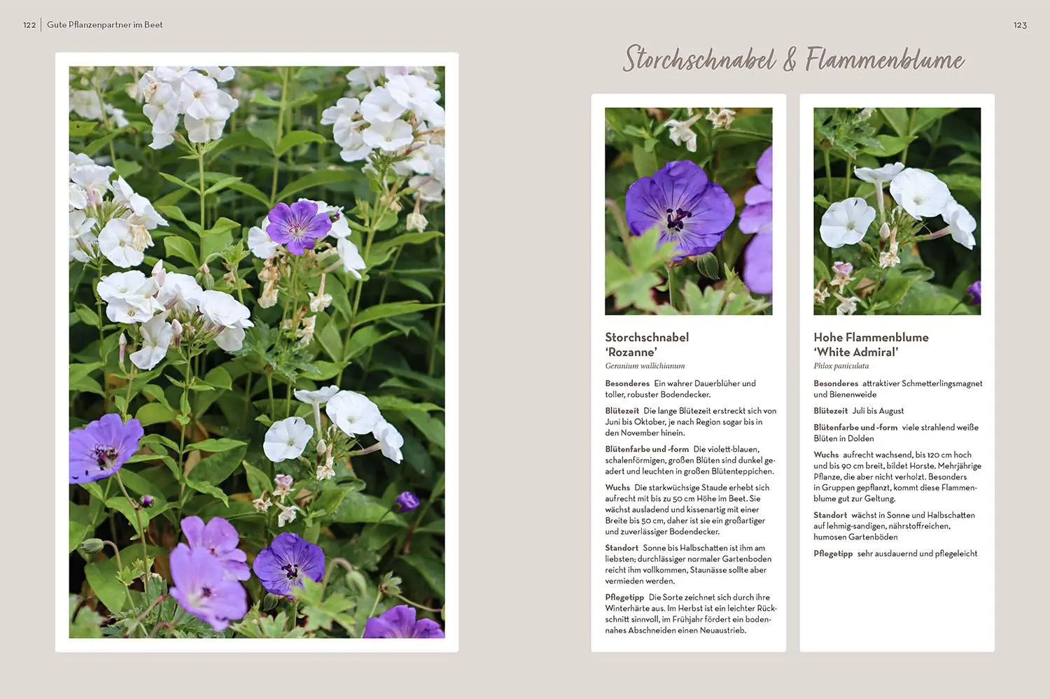 Bild: 9783440178225 | Klotzen statt kleckern | Gartengestaltung mit @katrinsgarten | Iskam