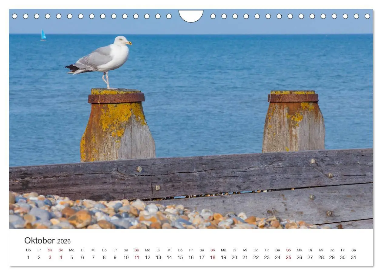 Bild: 9783457938225 | Eastbourne an Englands Südküste (Wandkalender 2026 DIN A4 quer),...