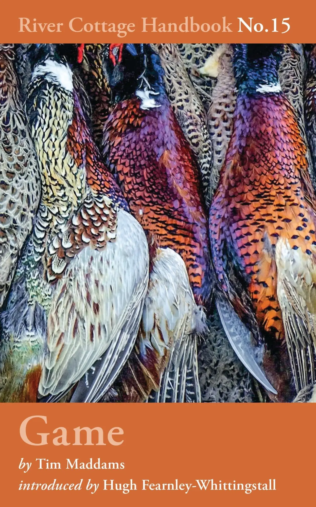 Cover: 9781408858325 | Game | River Cottage Handbook No.15 | Tim Maddams | Buch | Gebunden