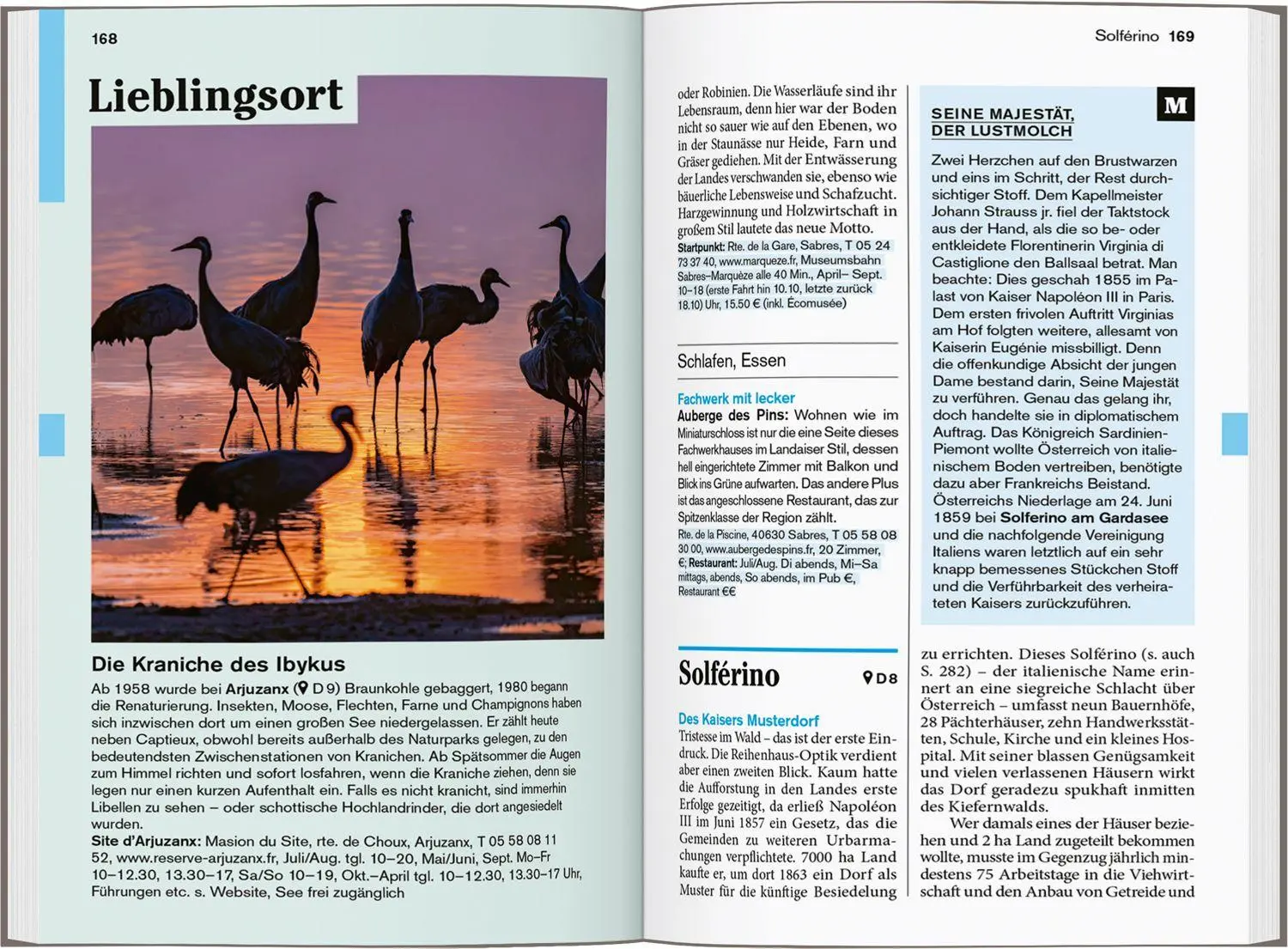 Bild: 9783616008325 | DUMONT Reise-Taschenbuch Reiseführer Bordeaux &amp; Atlantikküste | Buch