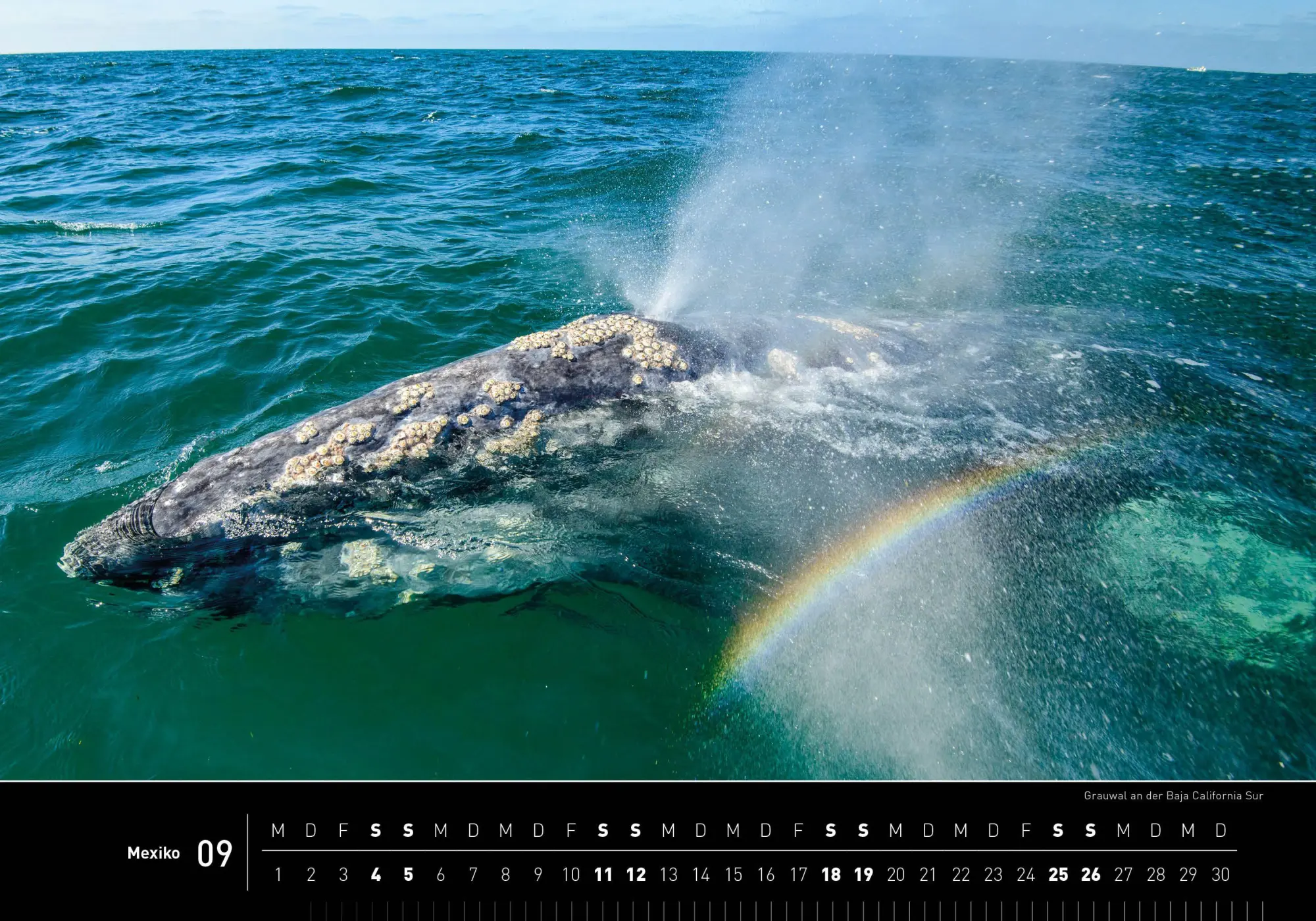 Bild: 9783968558325 | Mexiko Premiumkalender 2027 | Christian Heeb | Kalender | 14 S. | 2027