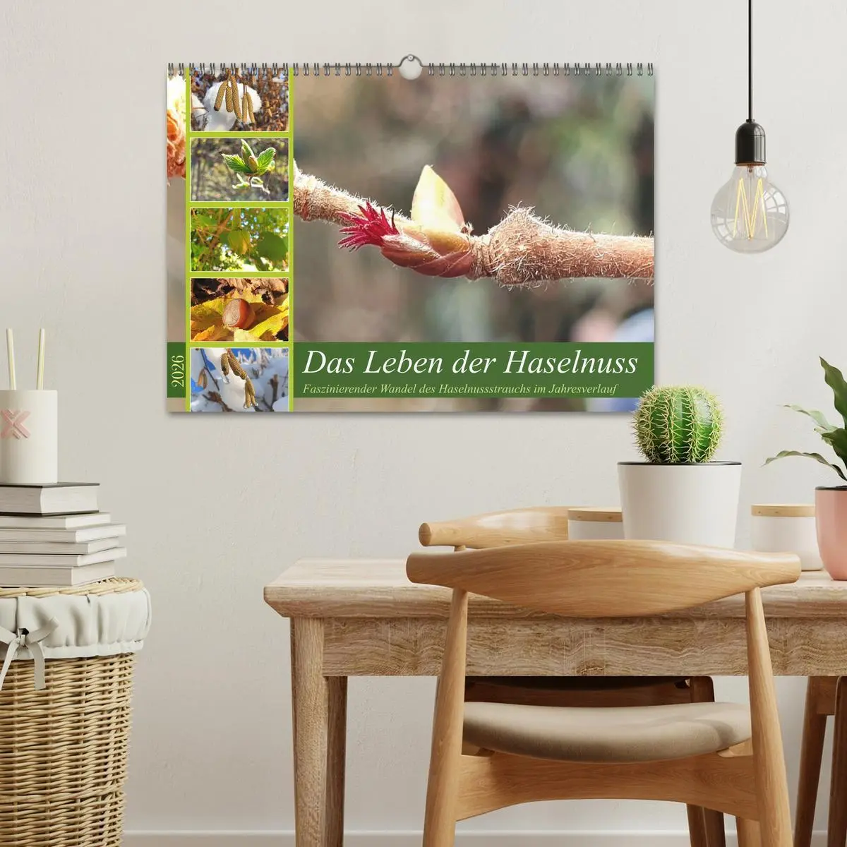 Bild: 9783457538425 | Das Leben der Haselnuss (Wandkalender 2026 DIN A3 quer), CALVENDO...