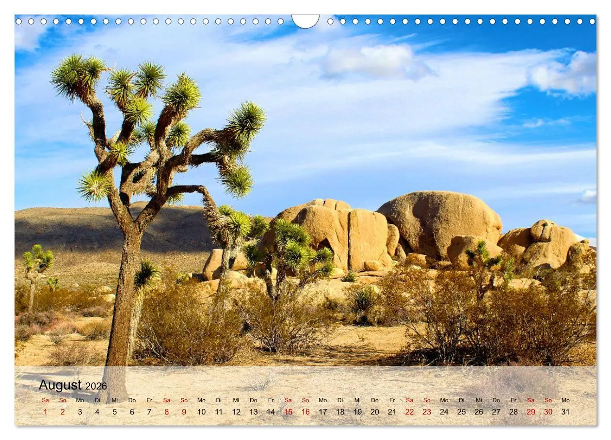 Bild: 9783457608425 | Magische Farbspiele der Wüste (Wandkalender 2026 DIN A3 quer),...