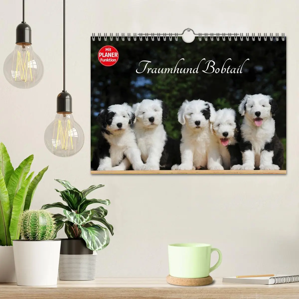 Bild: 9783516008425 | Traumhund Bobtail (Wandkalender 2026 DIN A4 quer), CALVENDO...