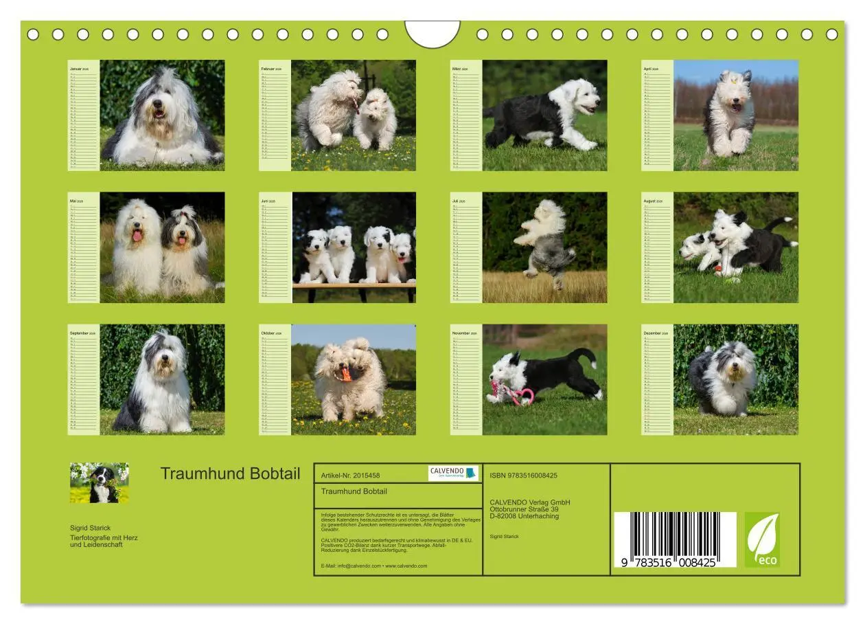 Bild: 9783516008425 | Traumhund Bobtail (Wandkalender 2026 DIN A4 quer), CALVENDO...