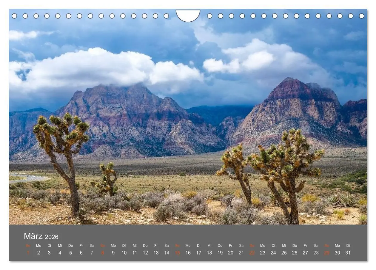 Bild: 9783516178425 | American Freedom (Wandkalender 2026 DIN A4 quer), CALVENDO...