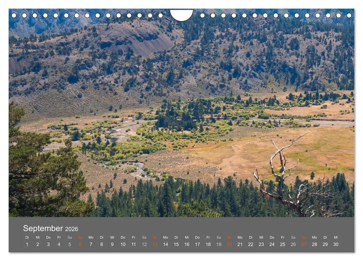 Bild: 9783516178425 | American Freedom (Wandkalender 2026 DIN A4 quer), CALVENDO...