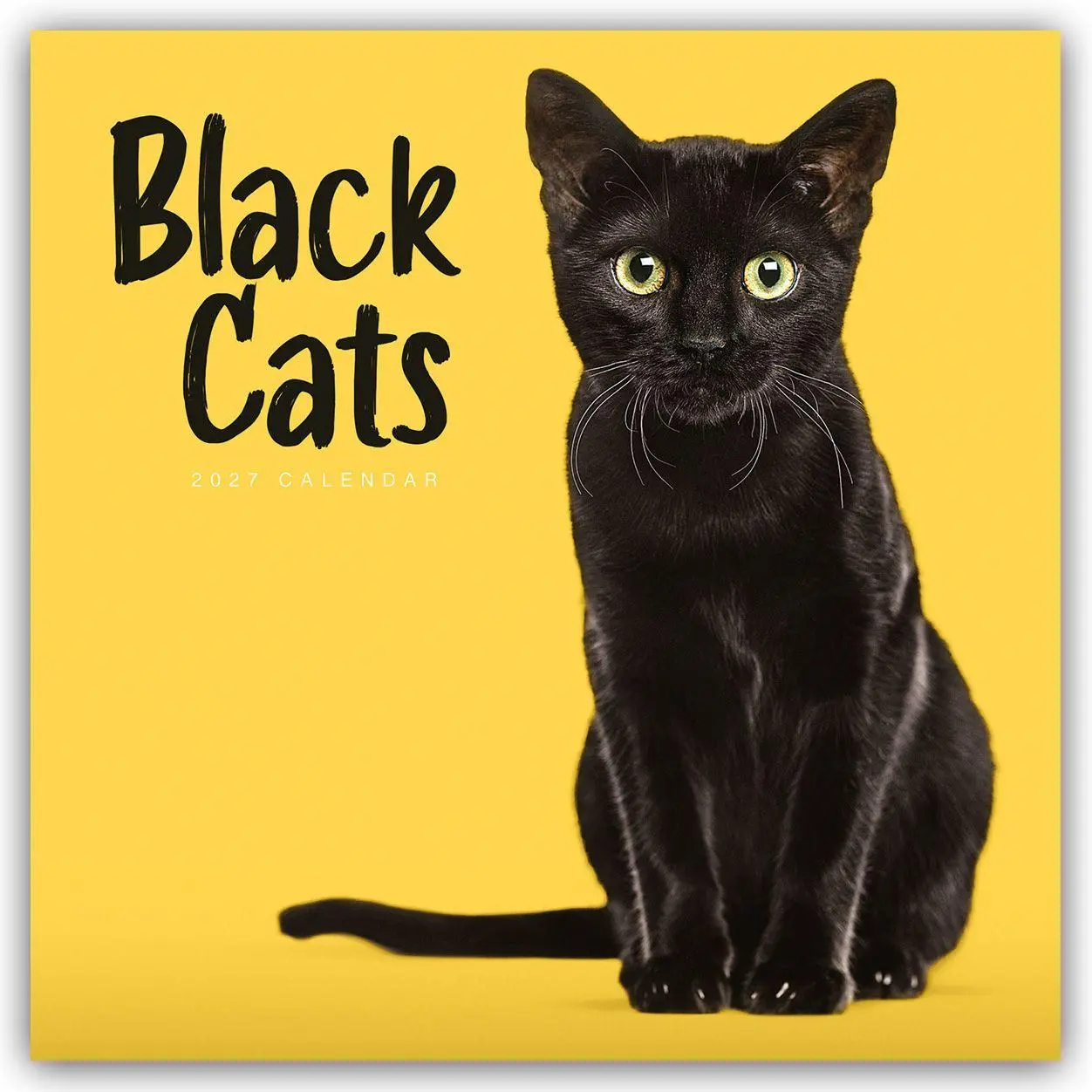 Cover: 9781529858525 | Black Cats - Schwarze Katzen 2027 - Wand-Kalender | Carousel Calendar