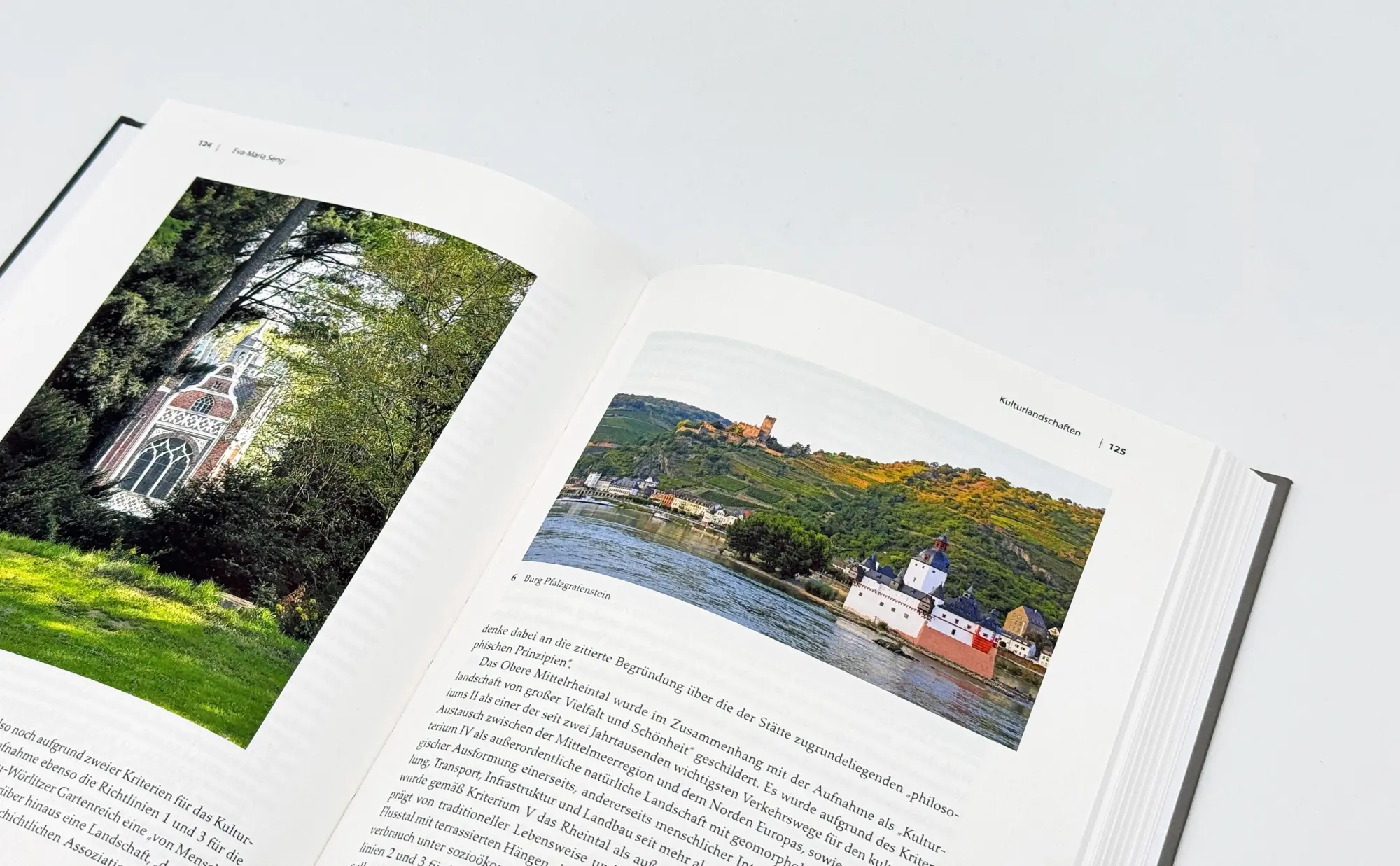 Bild: 9783110478525 | Landschaft | Kultur-, Natur-, Wirtschafts- und Erfahrungsräume | Buch