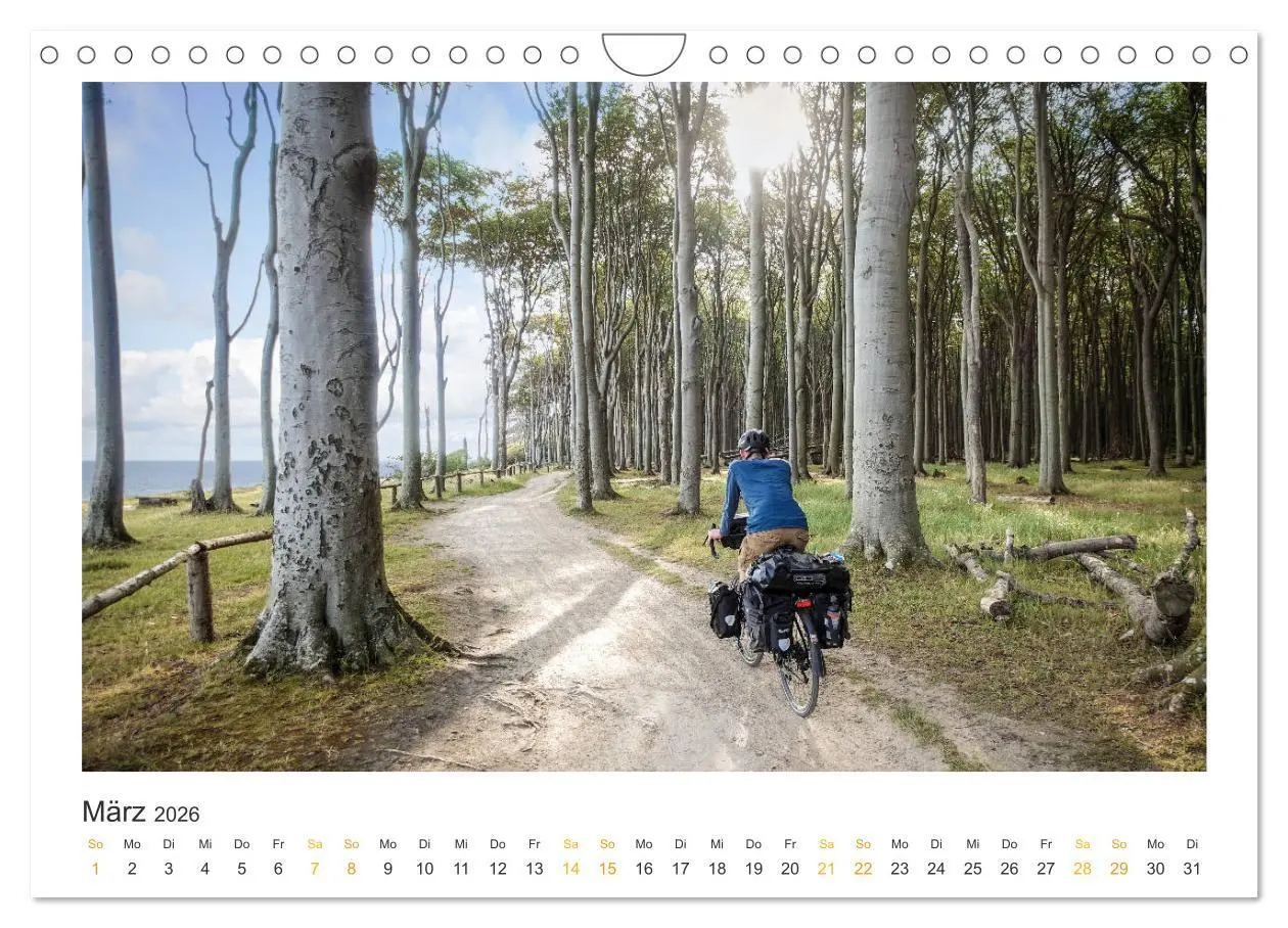 Bild: 9783457698525 | Radreiseglück Ostsee (Wandkalender 2026 DIN A4 quer), CALVENDO...