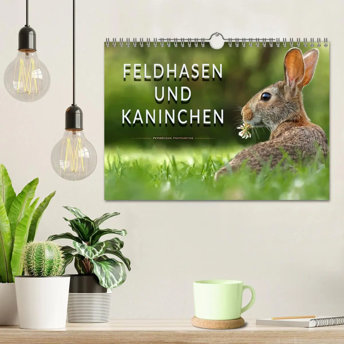 Bild: 9783457838525 | Feldhasen und Kaninchen (Wandkalender 2026 DIN A4 quer), CALVENDO...