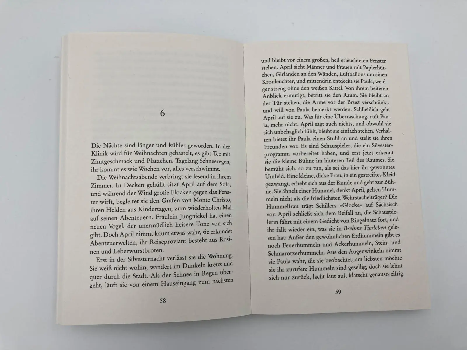 Bild: 9783492318525 | April | Roman Band 2 der preisgekrönten Trilogie | Klüssendorf | Buch