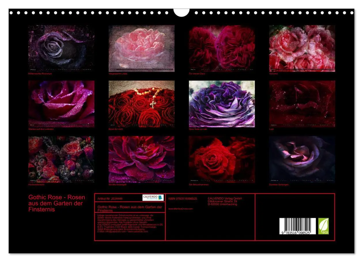 Bild: 9783516098525 | Gothic Rose - Rosen aus dem Garten der Finsternis (Wandkalender...