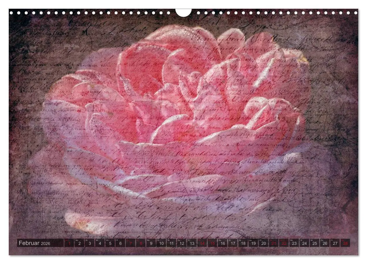 Bild: 9783516098525 | Gothic Rose - Rosen aus dem Garten der Finsternis (Wandkalender...