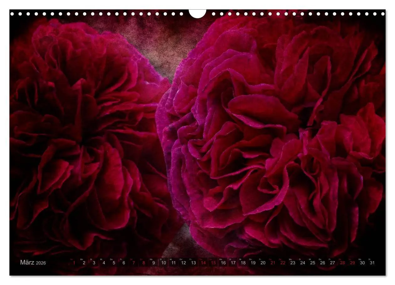 Bild: 9783516098525 | Gothic Rose - Rosen aus dem Garten der Finsternis (Wandkalender...