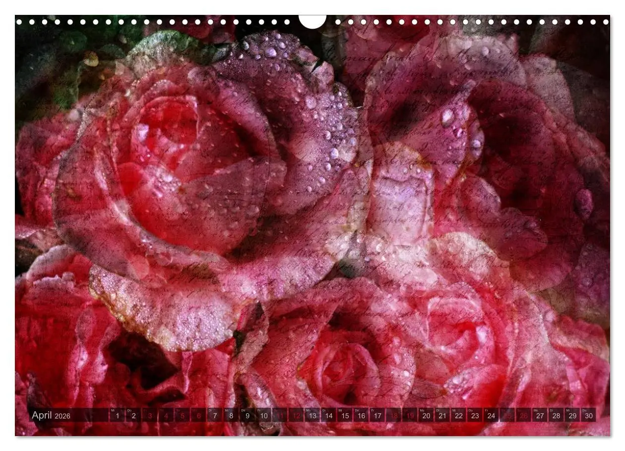 Bild: 9783516098525 | Gothic Rose - Rosen aus dem Garten der Finsternis (Wandkalender...