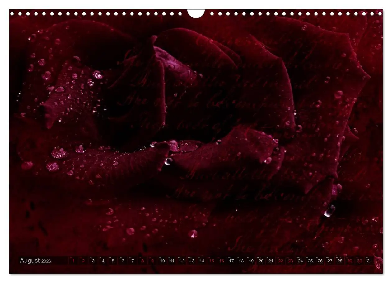 Bild: 9783516098525 | Gothic Rose - Rosen aus dem Garten der Finsternis (Wandkalender...