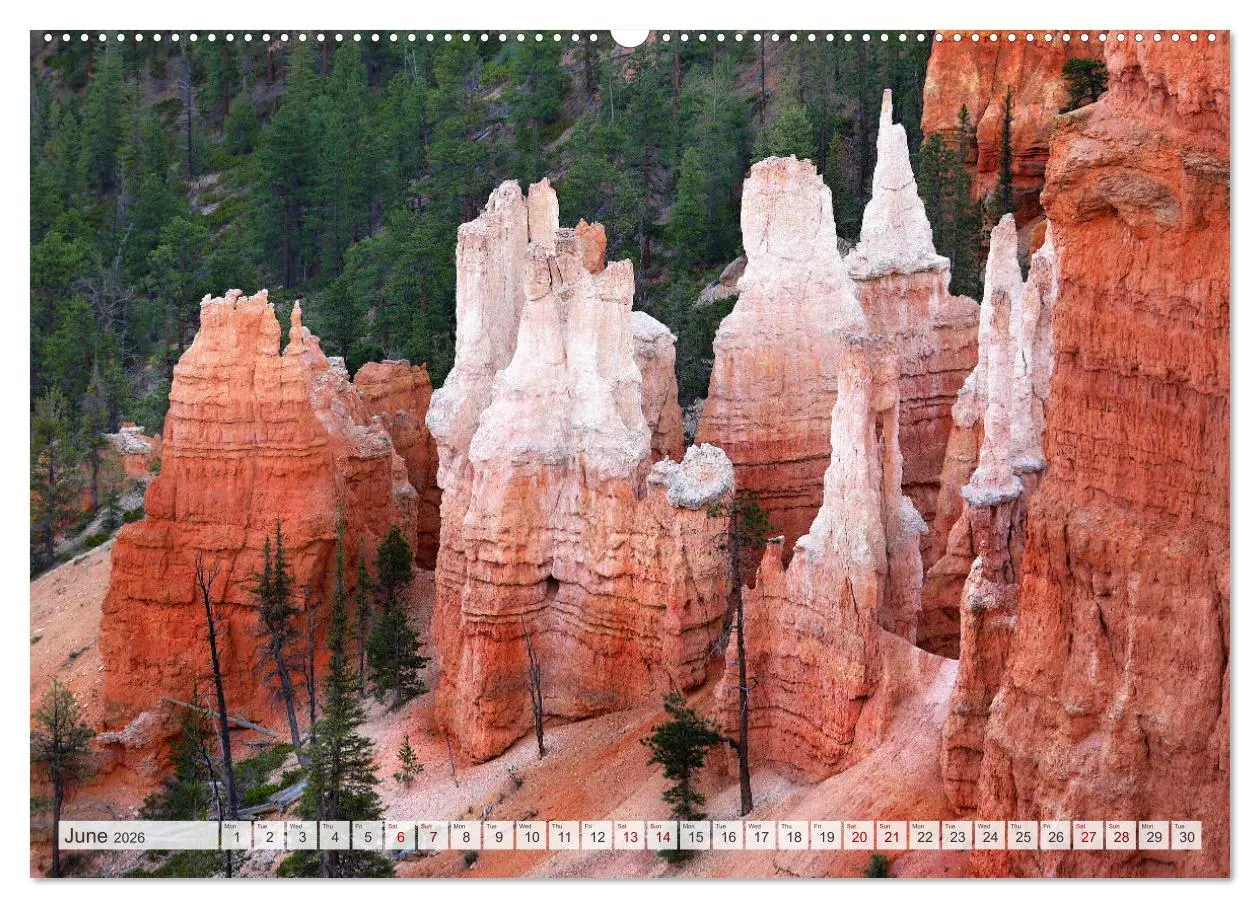 Bild: 9783516548525 | Bryce Canyon, Sunrise and Sunset points (Wall Calendar 2026 DIN A2...