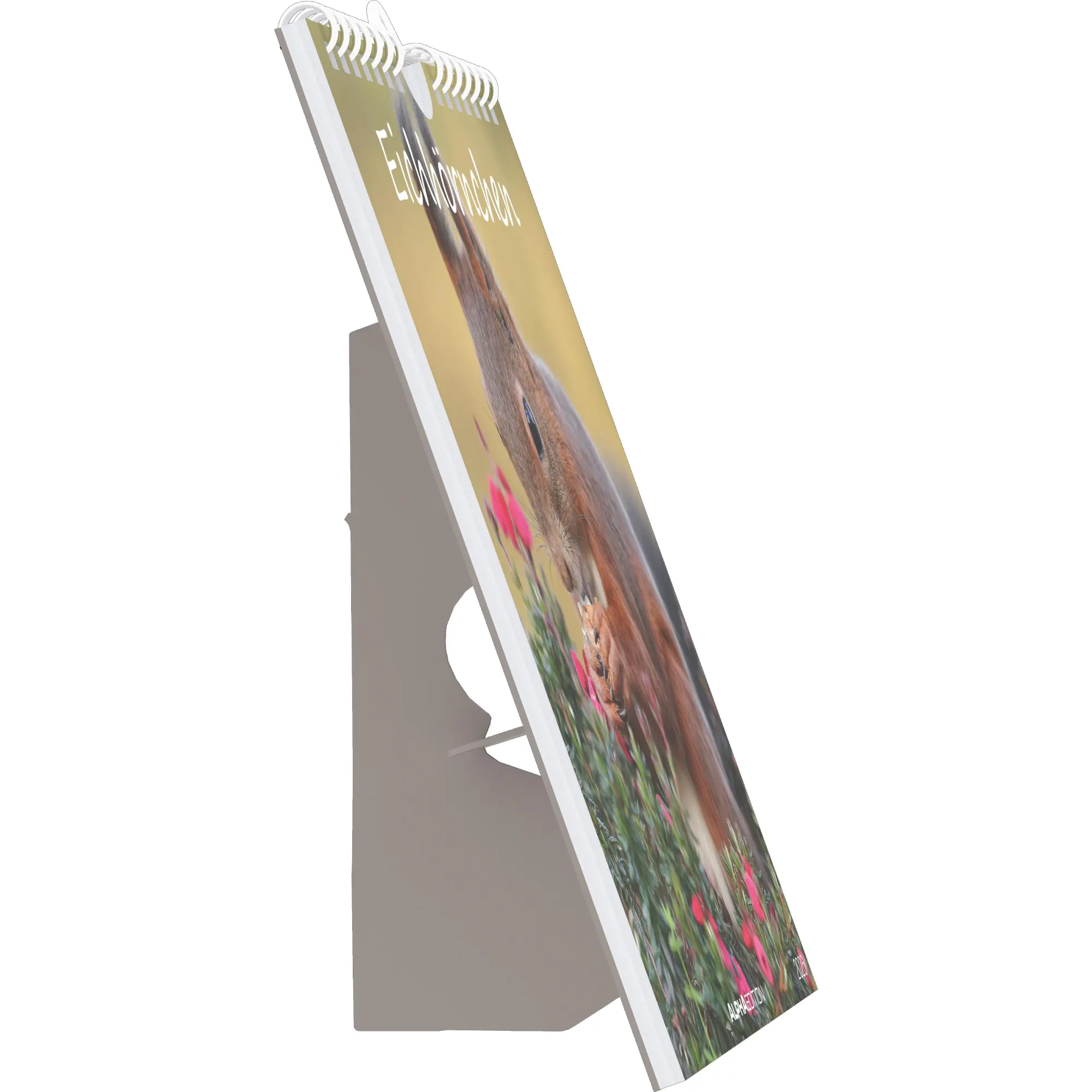 Bild: 4069095008625 | Eichhörnchen 2026 - Postkartenkalender im Format 16 x 17 | Kalender