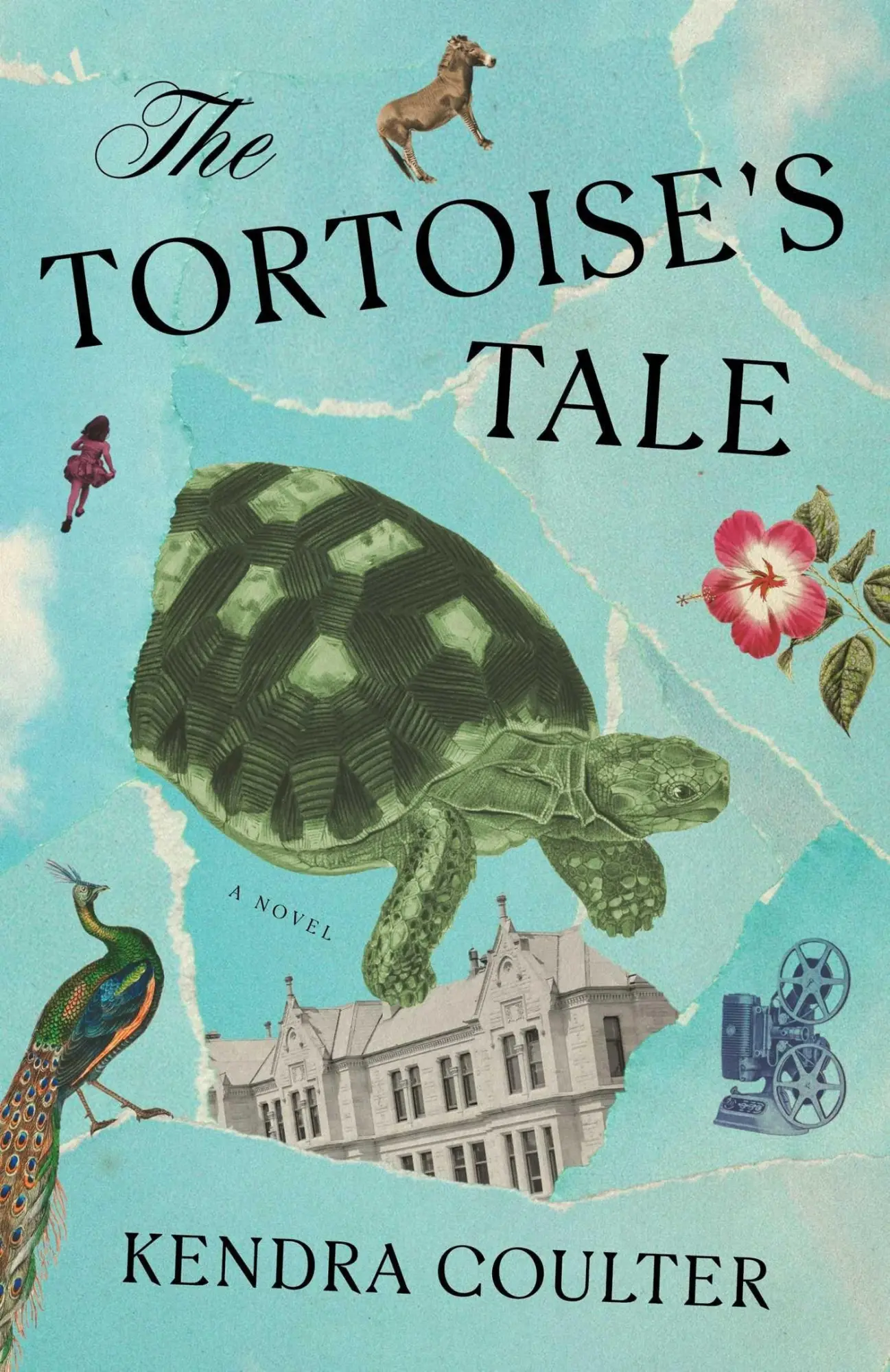 Cover: 9781668068625 | The Tortoise's Tale | Kendra Coulter | Buch | Englisch | 2025
