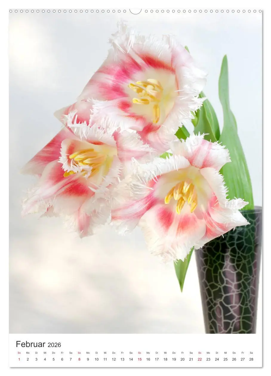 Bild: 9783516398625 | Verliebt in Blumen (Wandkalender 2026 DIN A2 hoch), CALVENDO...
