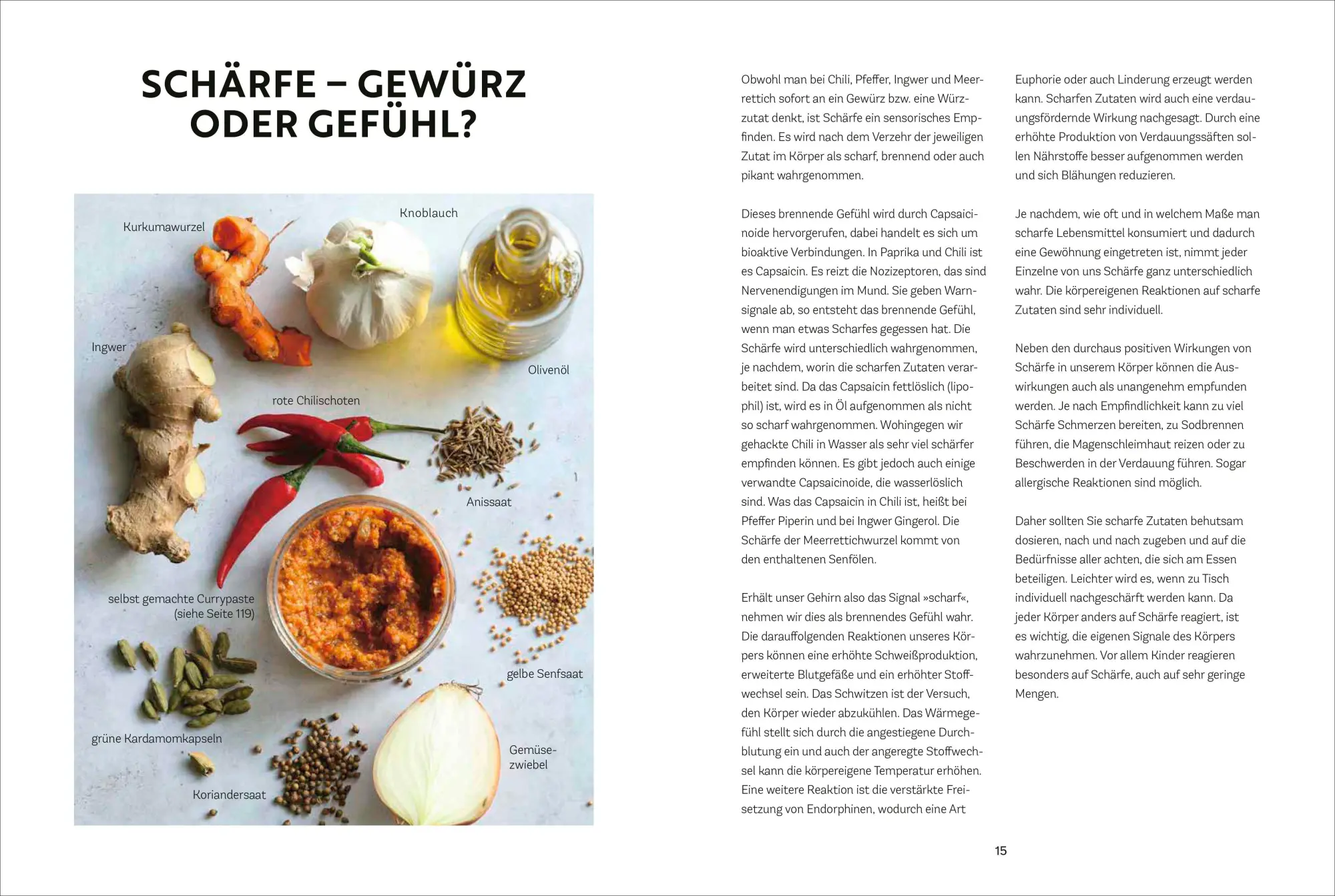 Bild: 9783959618625 | Das große Buch der Schärfe | Susann Kreihe | Buch | 192 S. | Deutsch