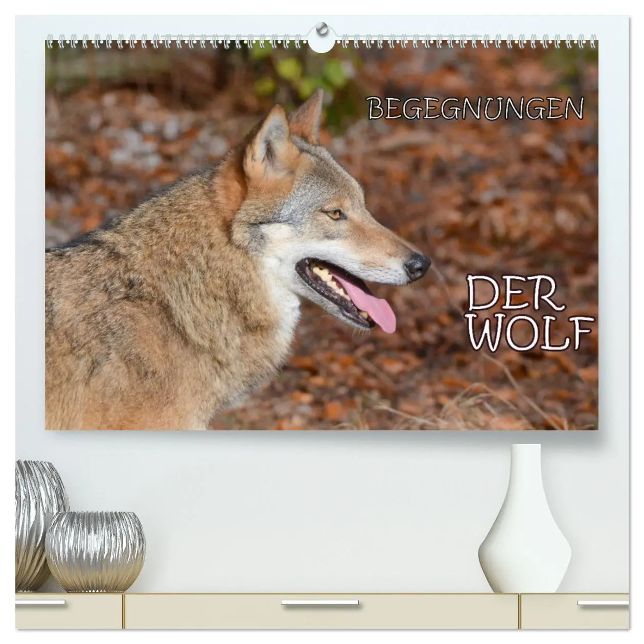 Cover: 9783457748725 | Begegnungen DER WOLF (hochwertiger Premium Wandkalender 2026 DIN A2...