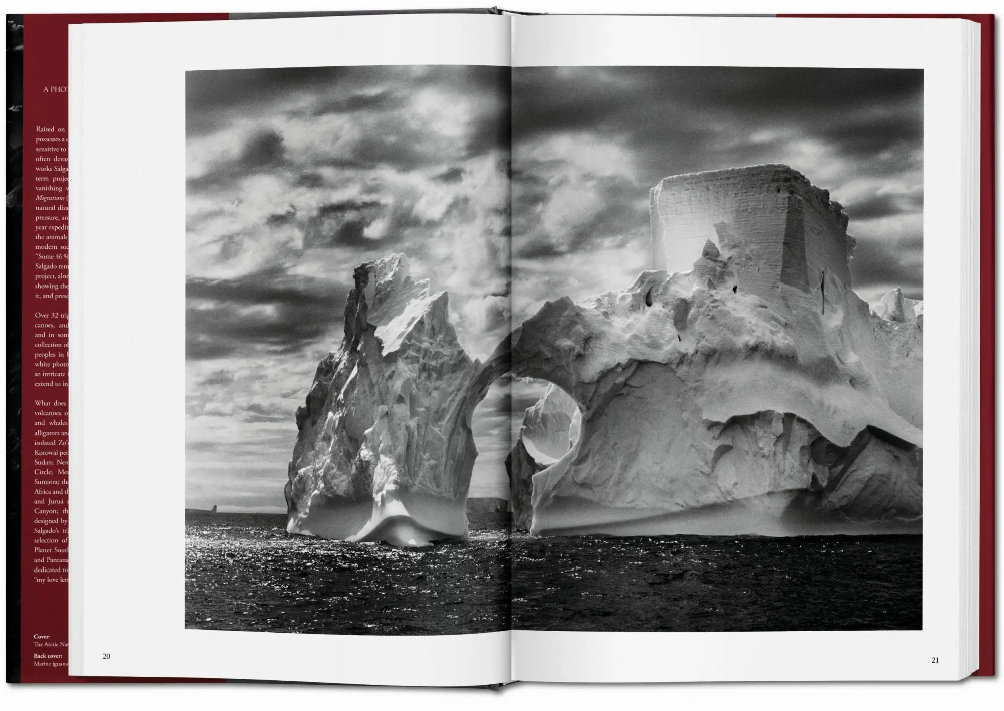 Bild: 9783836538725 | GENESIS | Lelia Wanick Salgado | Buch | 520 S. | Englisch | 2013