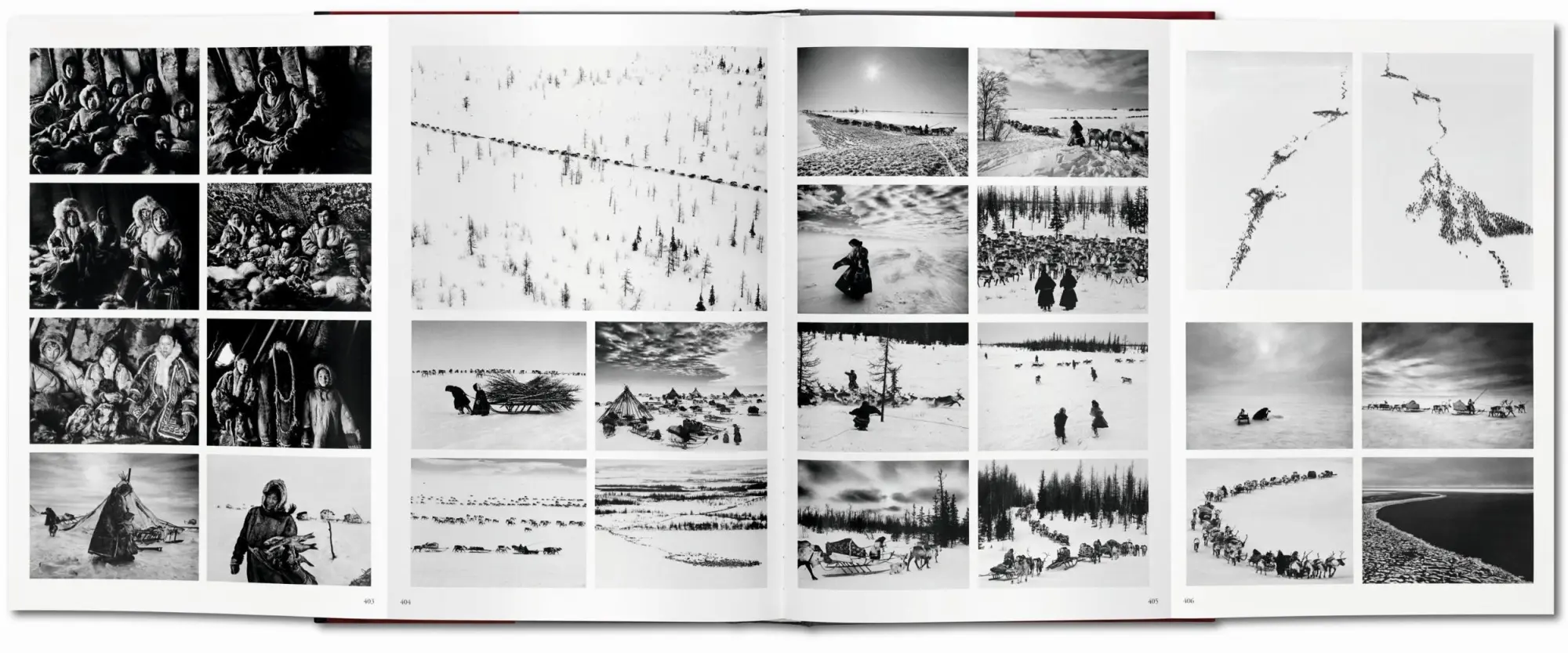 Bild: 9783836538725 | GENESIS | Lelia Wanick Salgado | Buch | 520 S. | Englisch | 2013