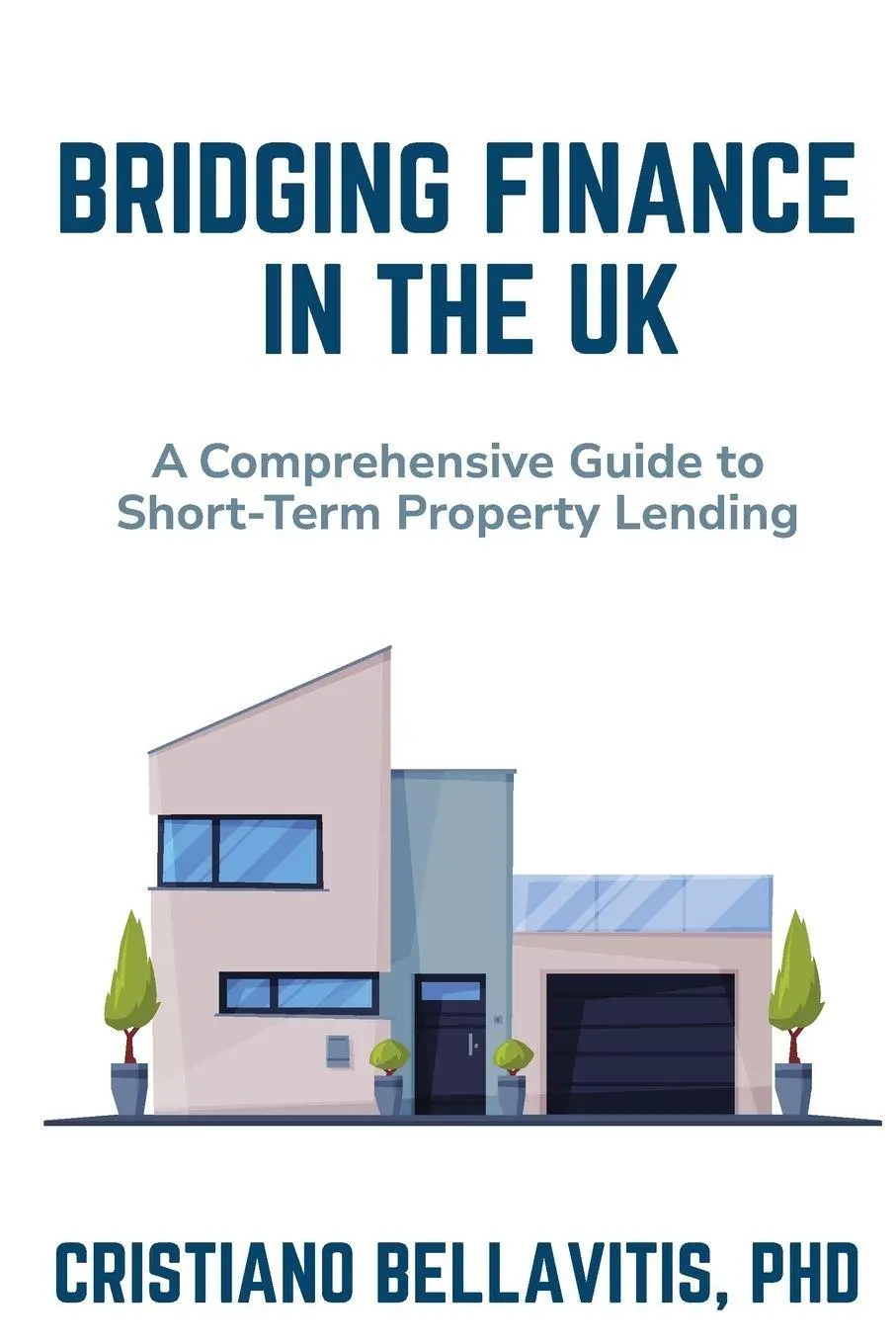 Cover: 9781637428825 | Bridging Finance in the UK | Cristiano Bellavitis | Taschenbuch | 2025