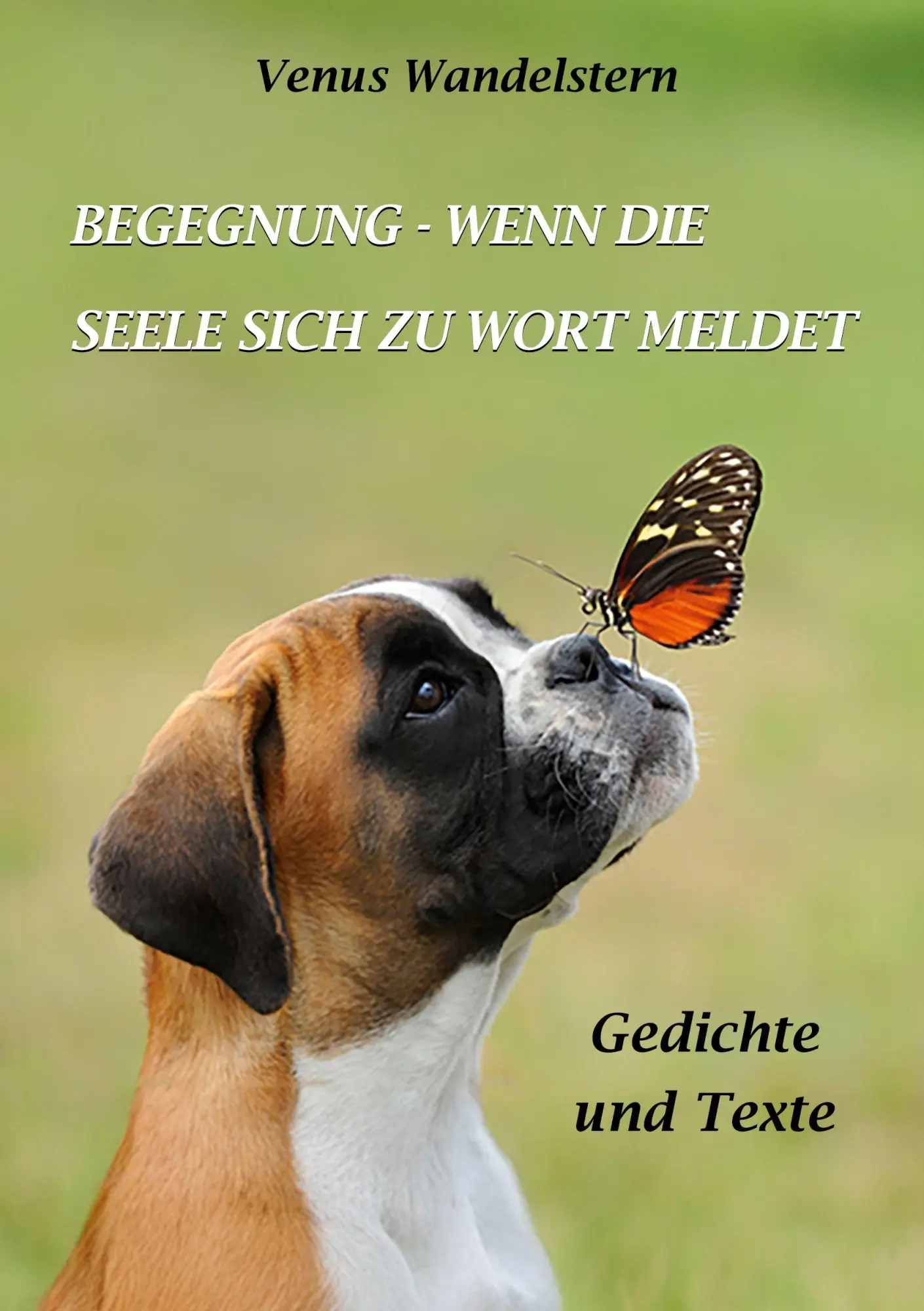 Cover: 9783819248825 | Begegnung - wenn die Seele sich zu Wort meldet | Gedichte und Texte